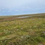 6 Person In Romo * Sønderby