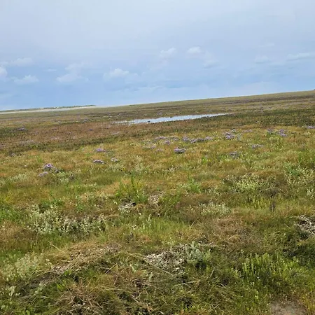 6 Person In Romo * Sønderby