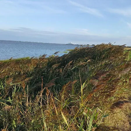 6 Person In Romo Sønderby