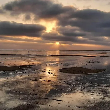 6 Person In Romo * Sønderby