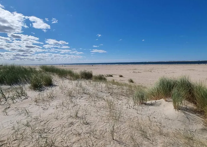 6 Person In Romo Feriehus *