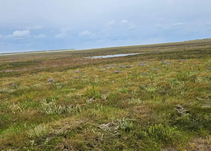 6 Person In Romo * Sønderby