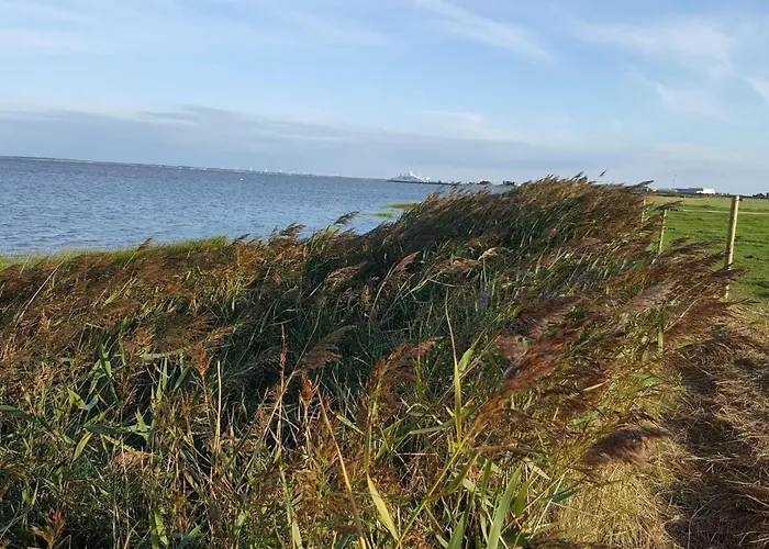 6 Person In Romo Sønderby